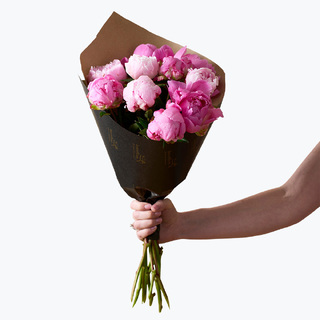 10 rosa peoner