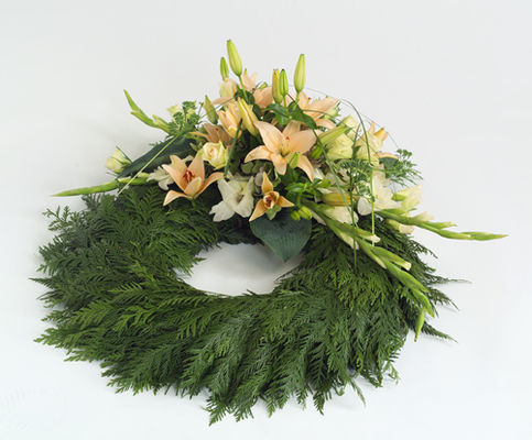 gr�nn&nbsp;og&nbsp;oransje&nbsp;krans